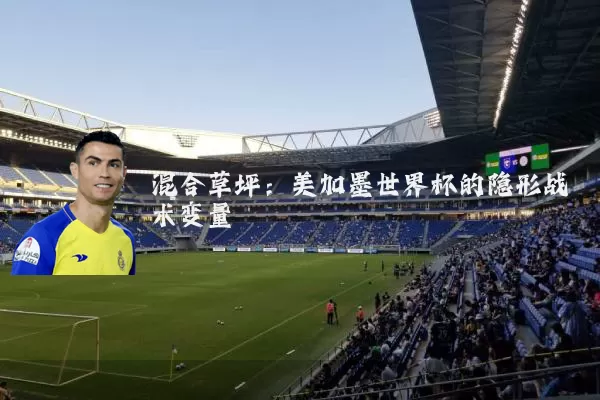 混合草坪:美加墨世界杯的隐形战术变量